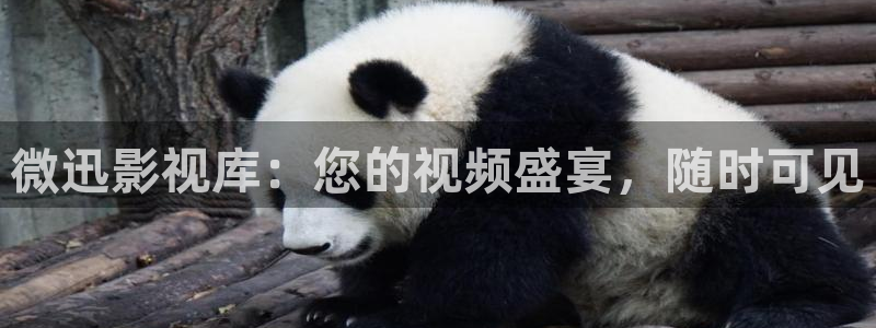 第七影院午夜：微迅影视库：您的视频盛宴，随时可见