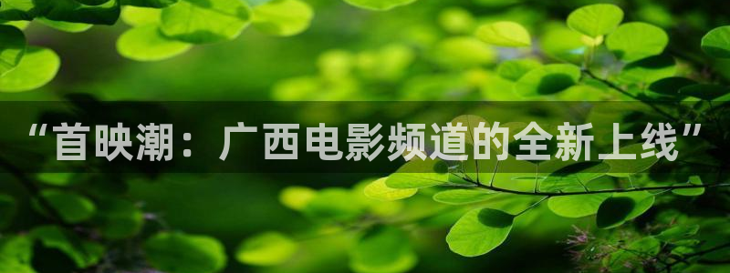 第七影院最新电视剧在线观看：“首映潮：广西电影频道的全新上线”