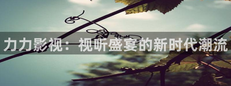 第七花花影院：力力影视：视听盛宴的新时代潮流