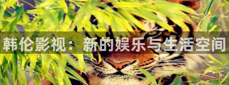 第七色影视：韩伦影视：新的娱乐与生活空间