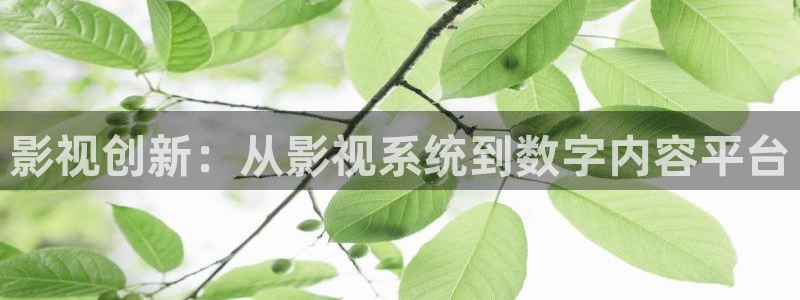 神马第七影院